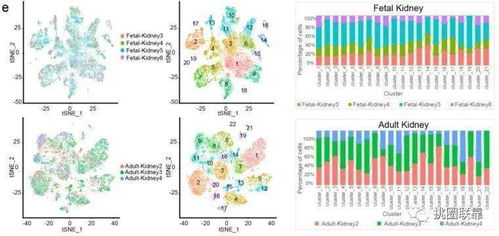 42分Nature頂刊單細胞測序綜述 刷新人類細胞圖譜認知，揭示下一波研究熱點