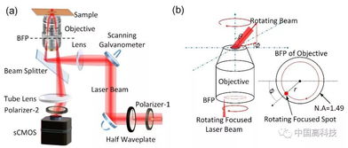 中科院合作團(tuán)隊在表面波光學(xué)顯微鏡研究中取得重大進(jìn)展